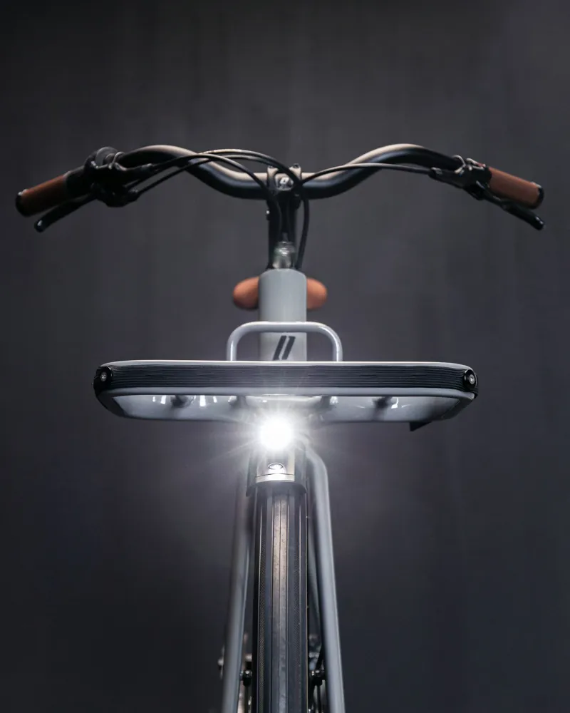 Emil IX Mahle Pinion-4